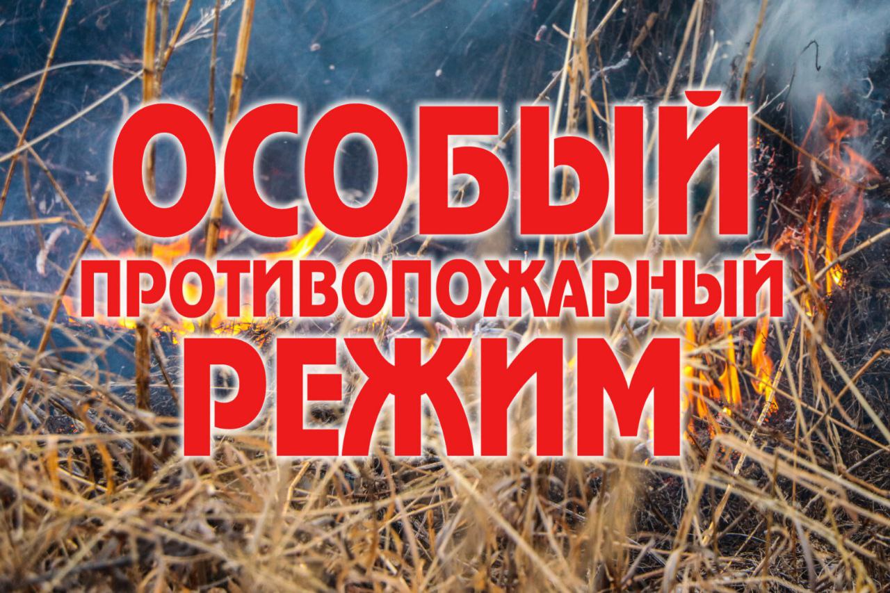 С 11 апреля 2024 года и до особого распоряжения вводится особый противопожарный режим на территории Акимовского муниципального округа..