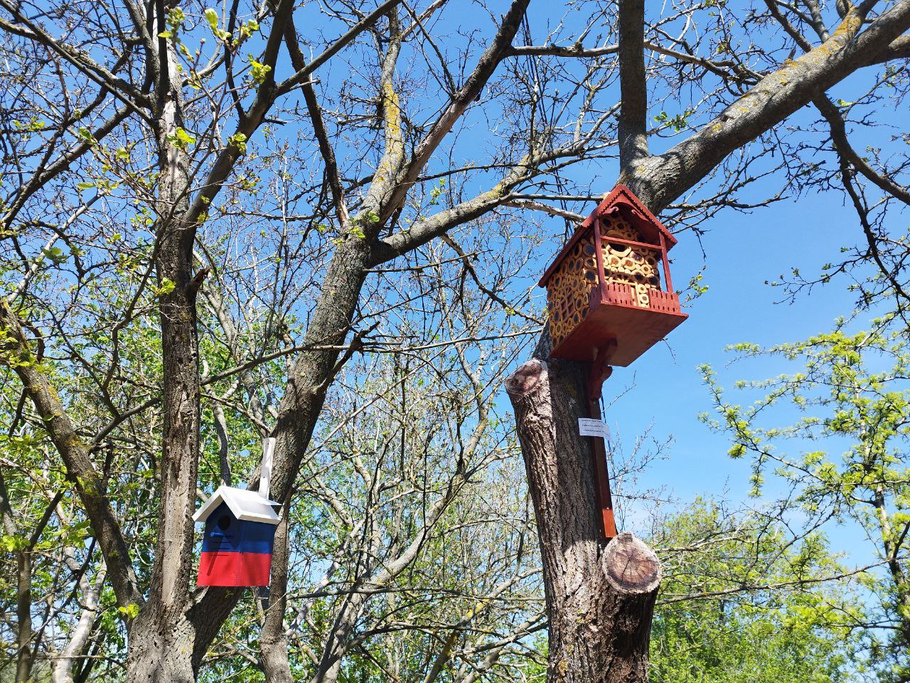 &quot;Птичий городок&quot; появился в Акимовском парке..